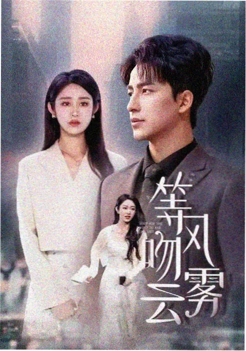 海边的妻子剧集海报