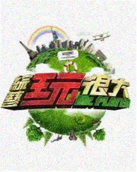 妻子的视频日记节目海报